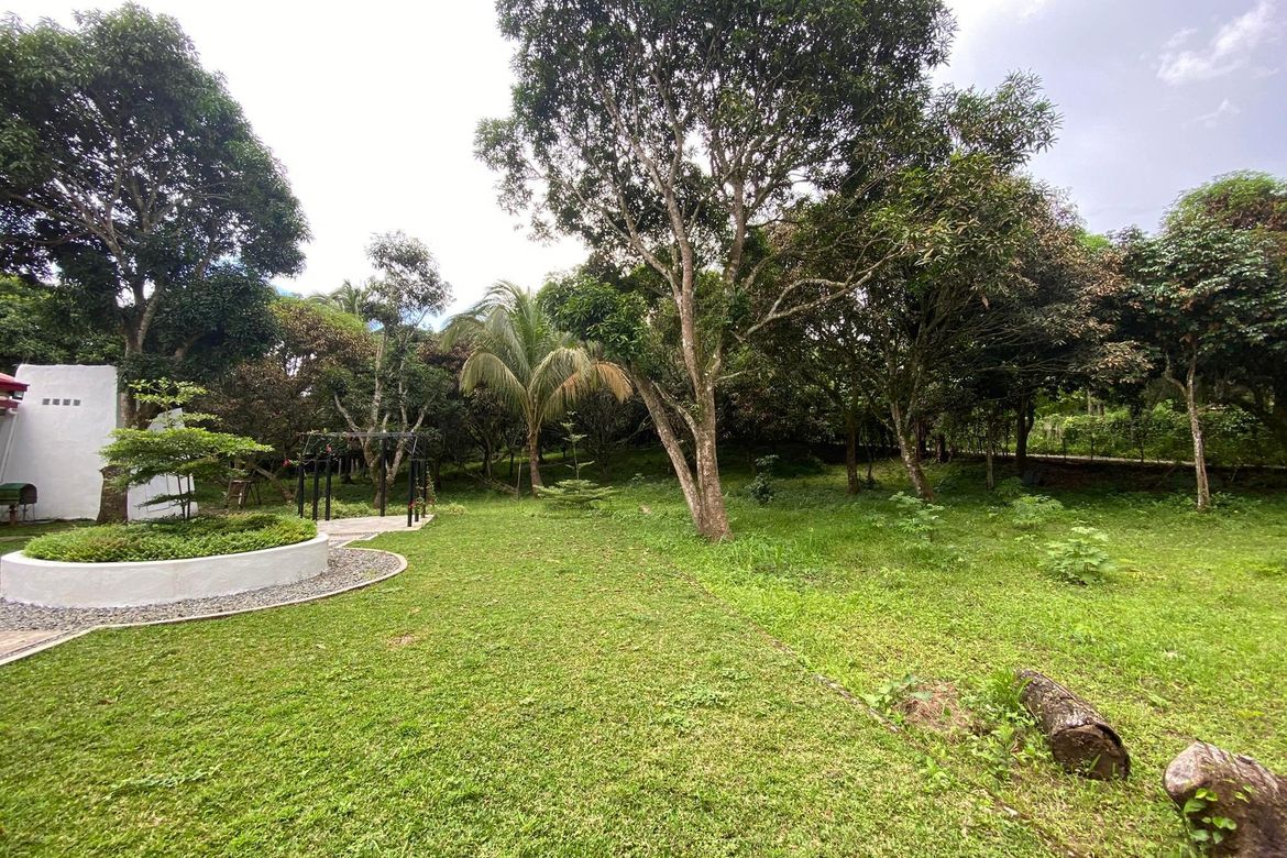 Land for Sale in Tamiao, Compostela, Cebu – photo 4