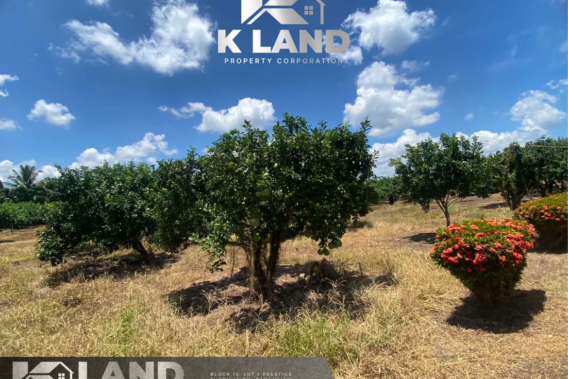 Land for Sale in Tamugan, Davao City, Davao del Sur – photo 3