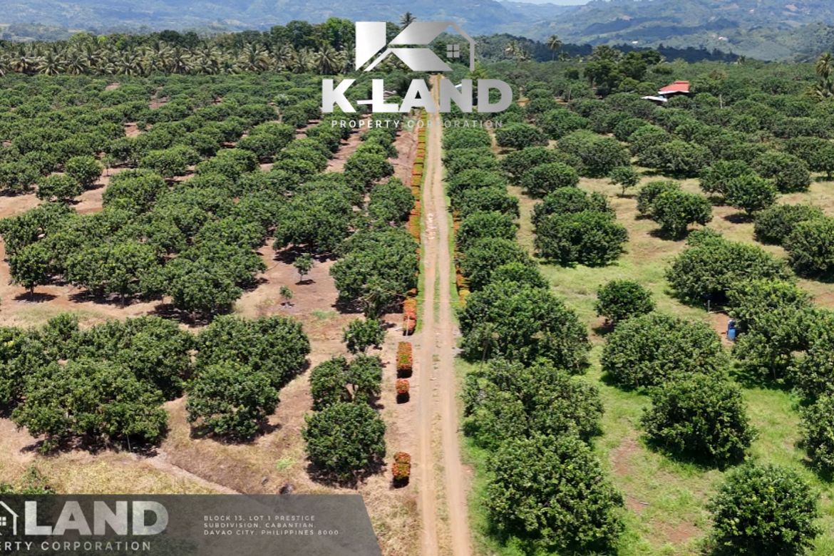 Land for Sale in Tamugan, Davao City, Davao del Sur – photo 4