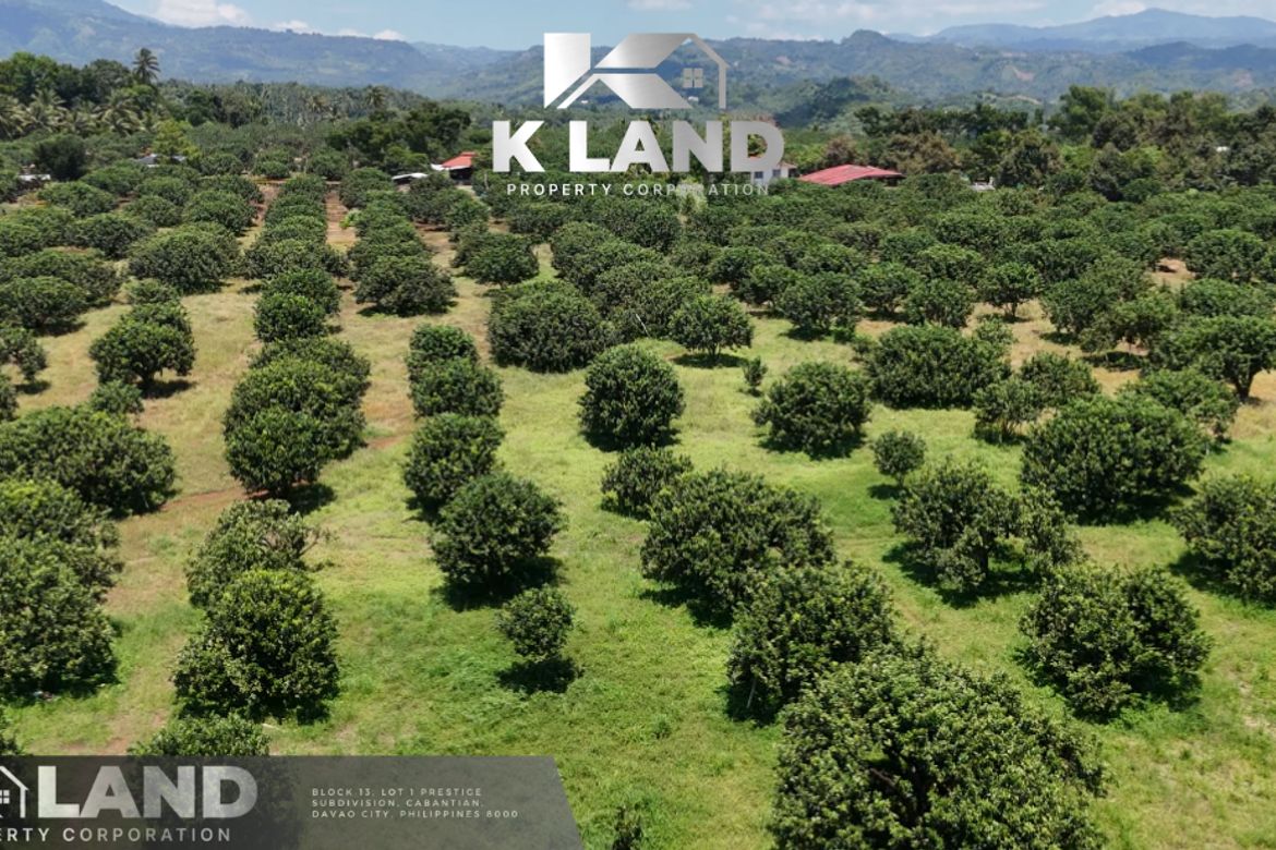 Land for Sale in Tamugan, Davao City, Davao del Sur – photo 8