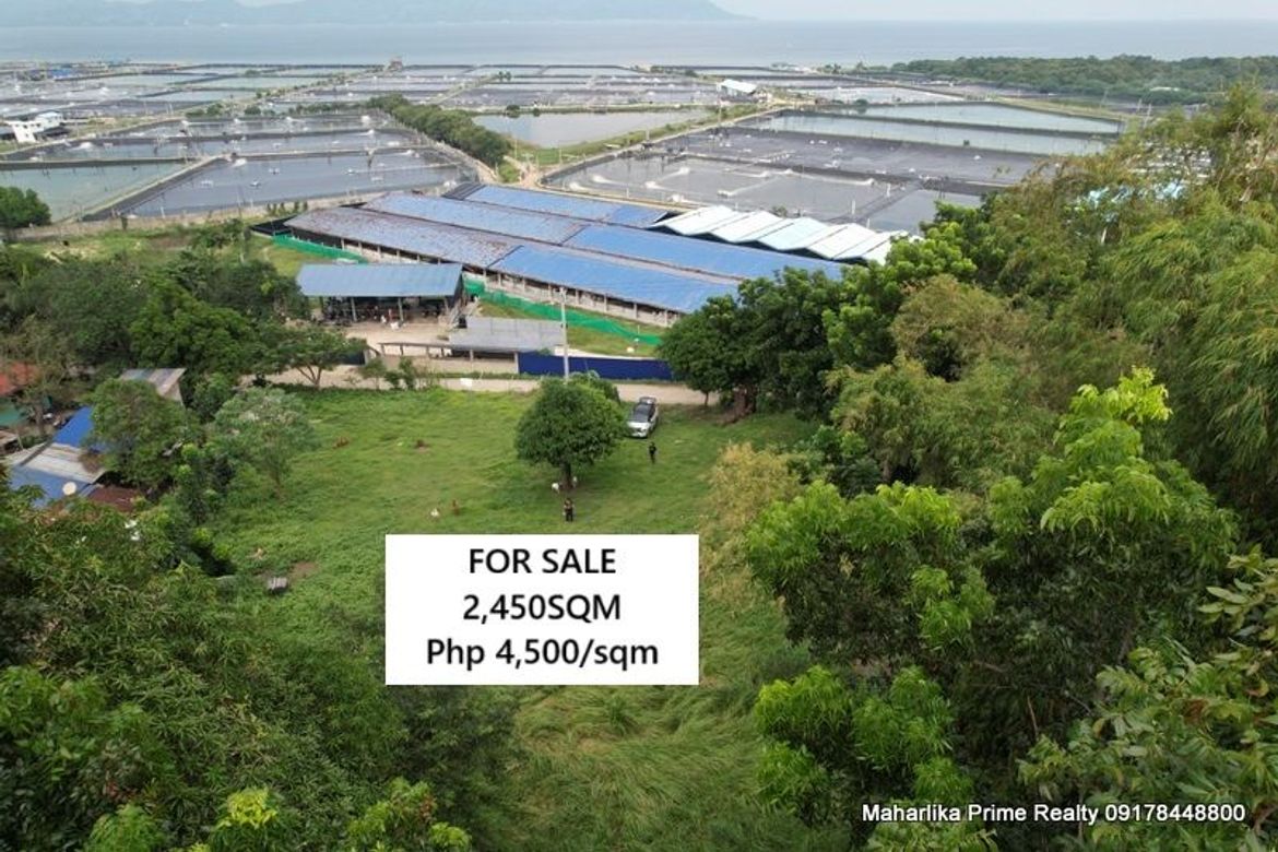 Land for Sale in Tanagan, Calatagan, Batangas – photo 3