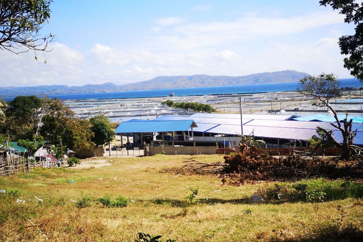 Land for Sale in Tanagan, Calatagan, Batangas – photo 6