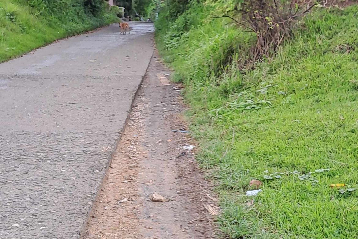 Land for Sale in Tanagan, Calatagan, Batangas – photo 6