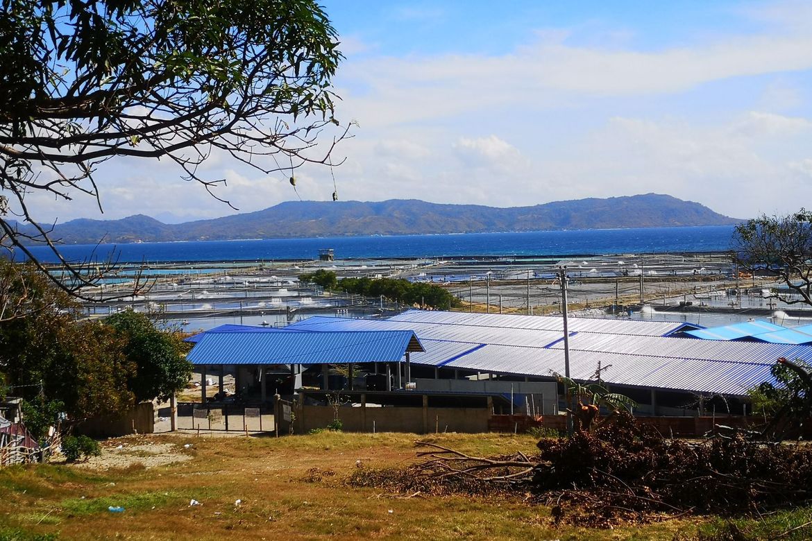 Land for Sale in Tanagan, Calatagan, Batangas – photo 4