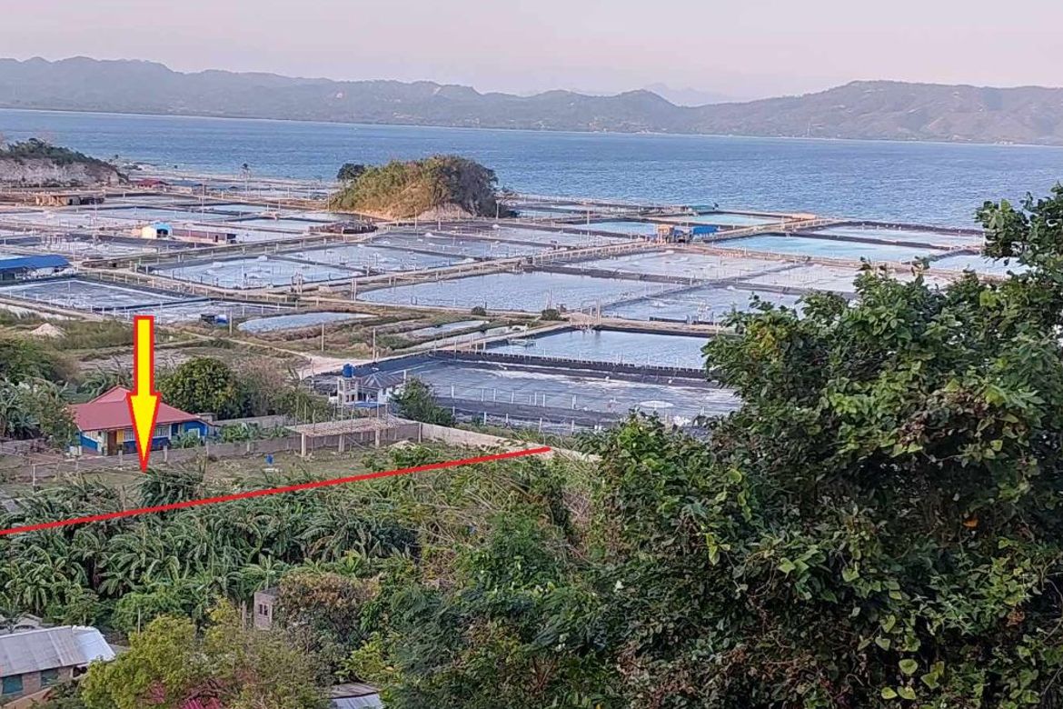 Land for Sale in Tanagan, Calatagan, Batangas