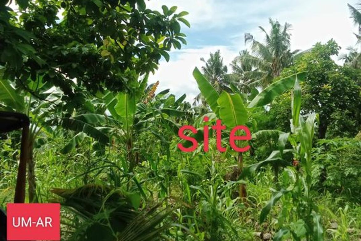 Land for Sale in Tananas, San Fernando, Cebu