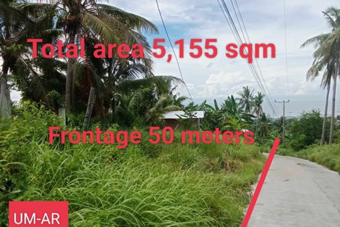 Land for Sale in Tananas, San Fernando, Cebu – photo 4