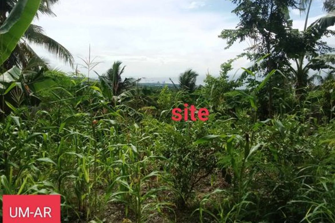Land for Sale in Tananas, San Fernando, Cebu – photo 5