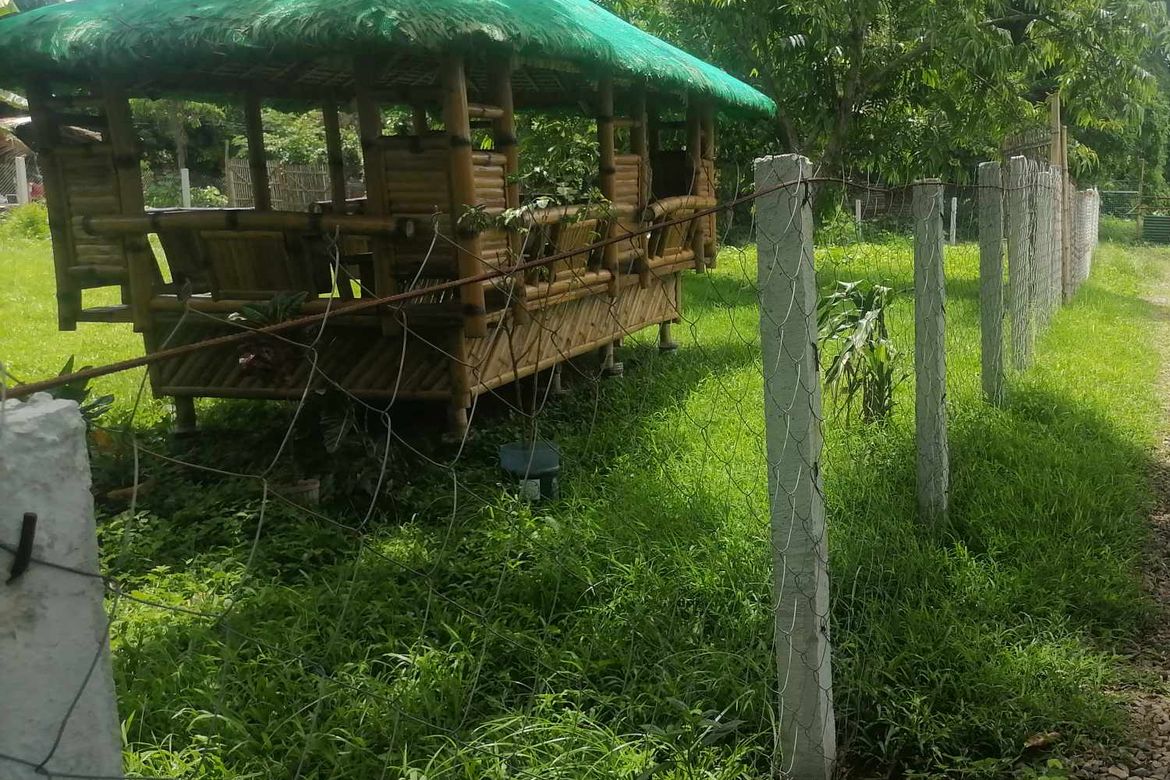 Land for Sale in Tanauan, Batangas