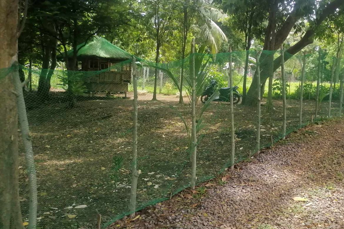 Land for Sale in Tanauan, Batangas – photo 2
