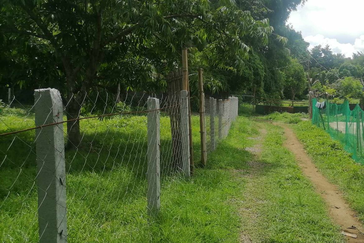 Land for Sale in Tanauan, Batangas – photo 3