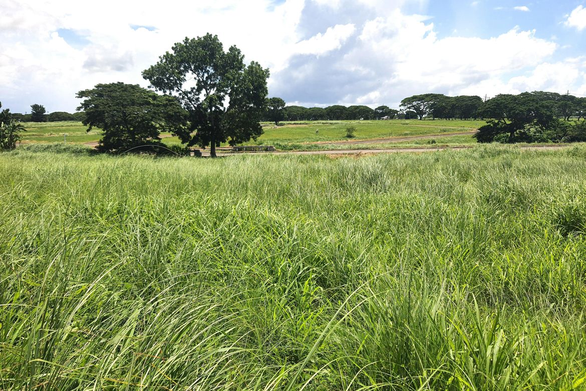Land for Sale in Tanauan, Tanza, Cavite