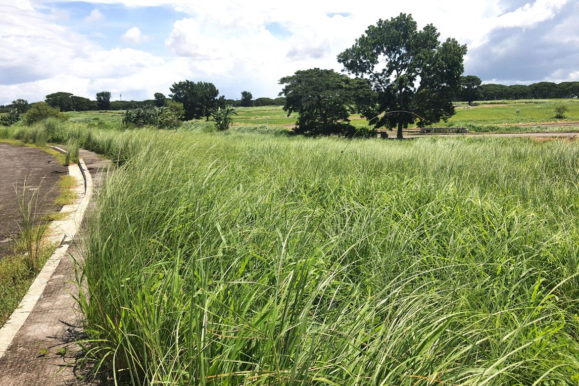 Land for Sale in Tanauan, Tanza, Cavite – photo 3
