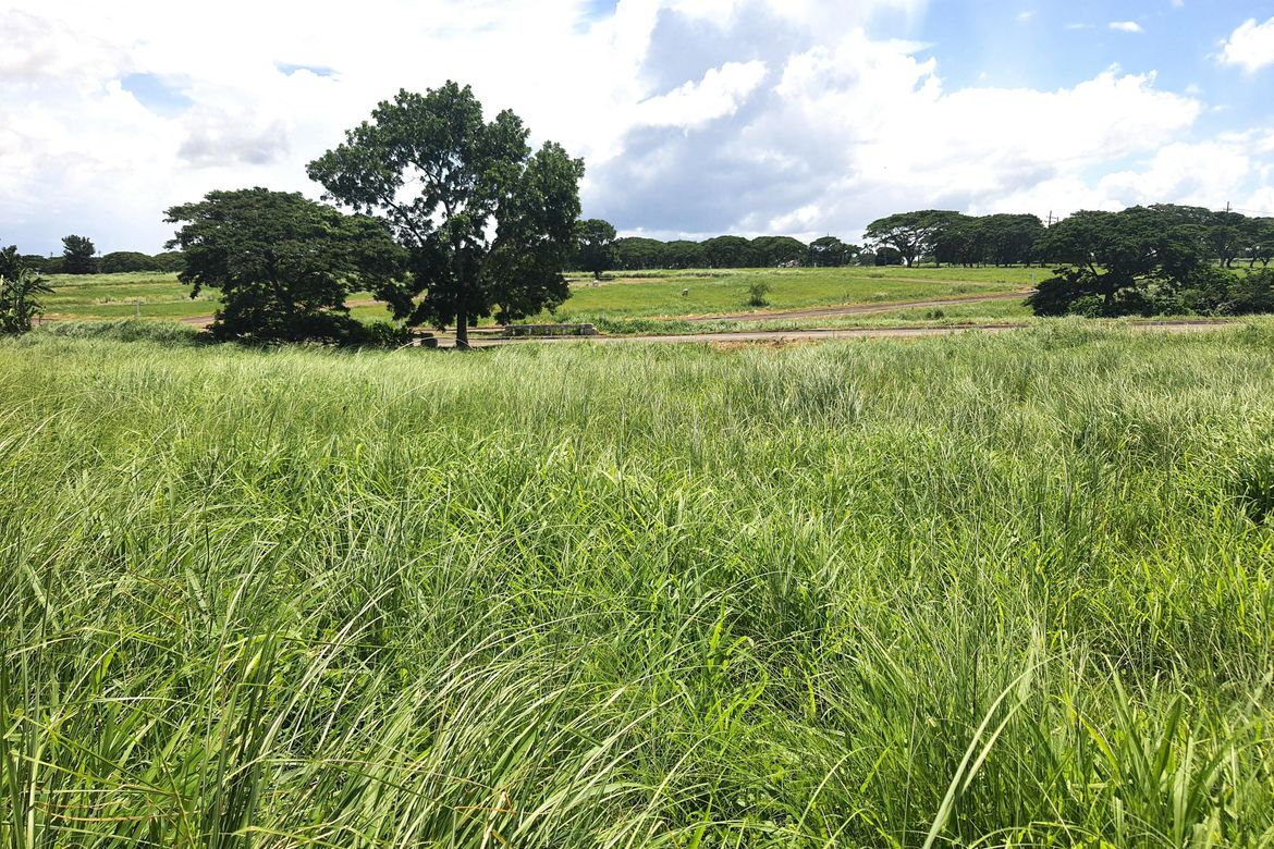 Land for Sale in Tanauan, Tanza, Cavite – photo 4