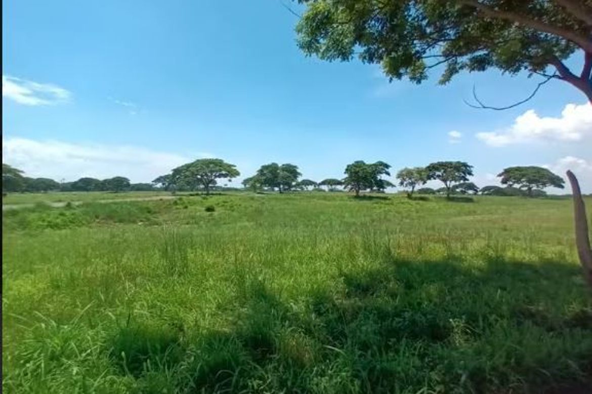 Land for Sale in Tanauan, Tanza, Cavite