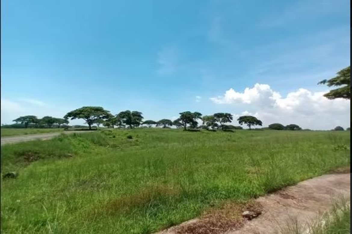 Land for Sale in Tanauan, Tanza, Cavite – photo 2