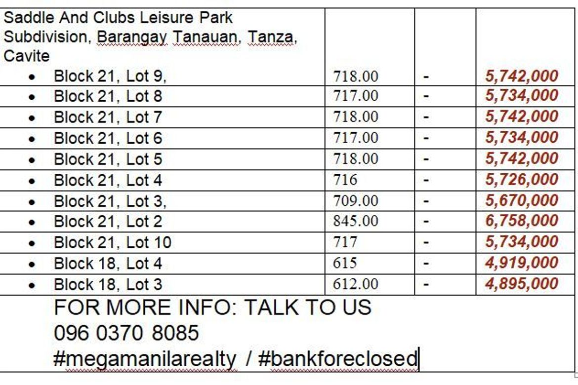 Land for Sale in Tanauan, Tanza, Cavite – photo 4