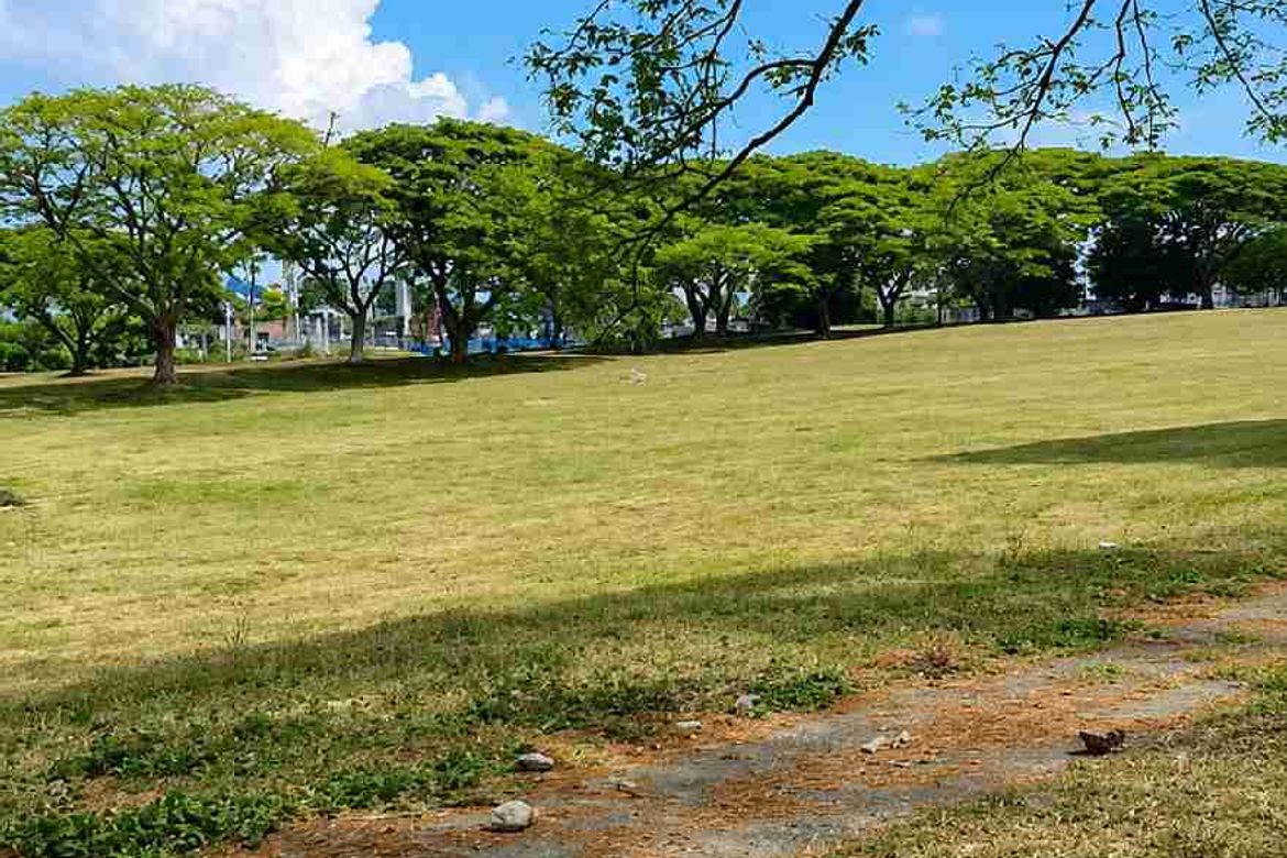 Land for Sale in Tanauan, Tanza, Cavite – photo 4