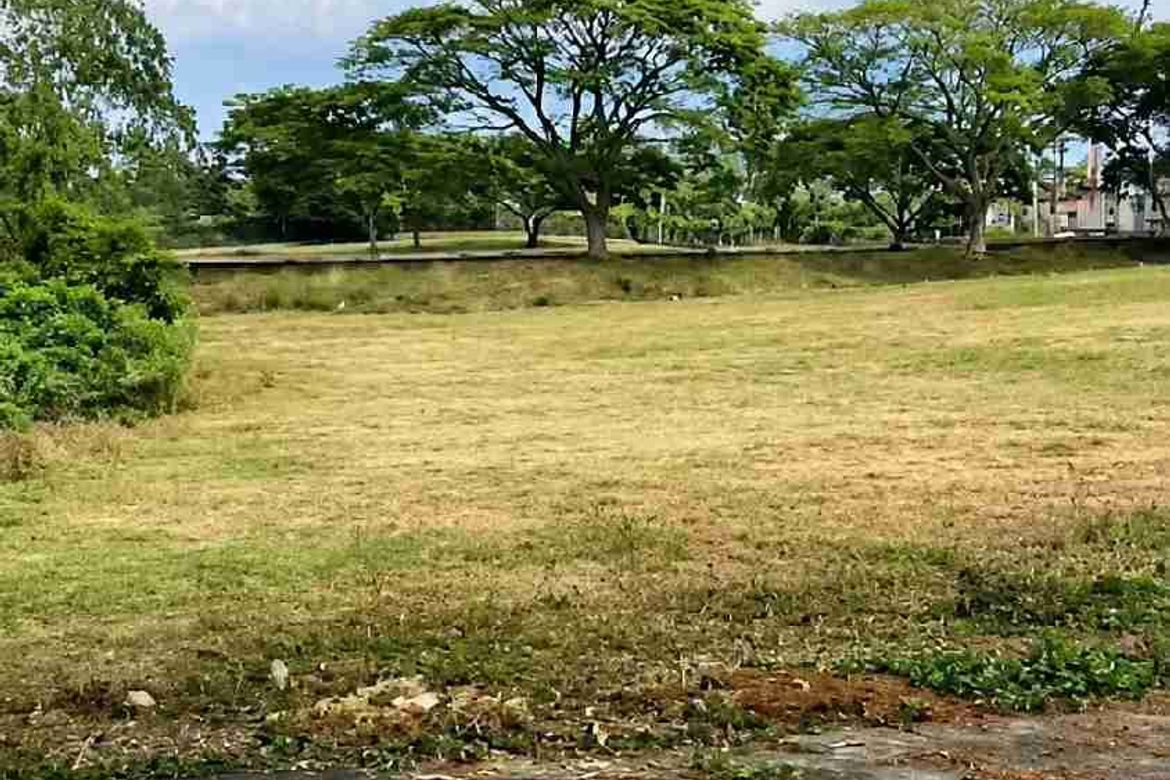 Land for Sale in Tanauan, Tanza, Cavite – photo 5