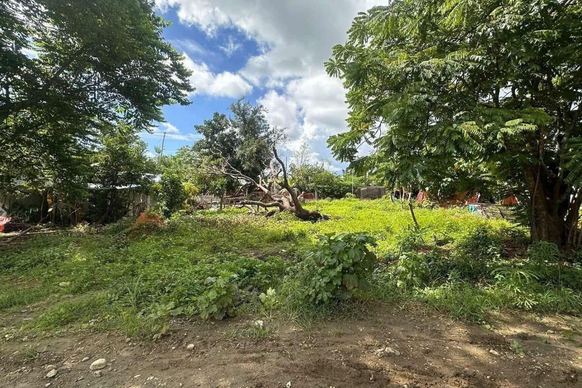Land for Sale in Tanaytay, Alaminos, Pangasinan