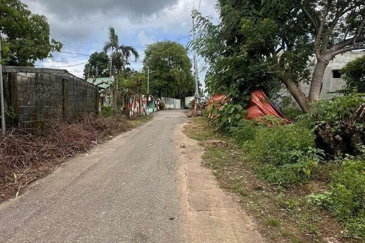 Land for Sale in Tanaytay, Alaminos, Pangasinan – photo 2