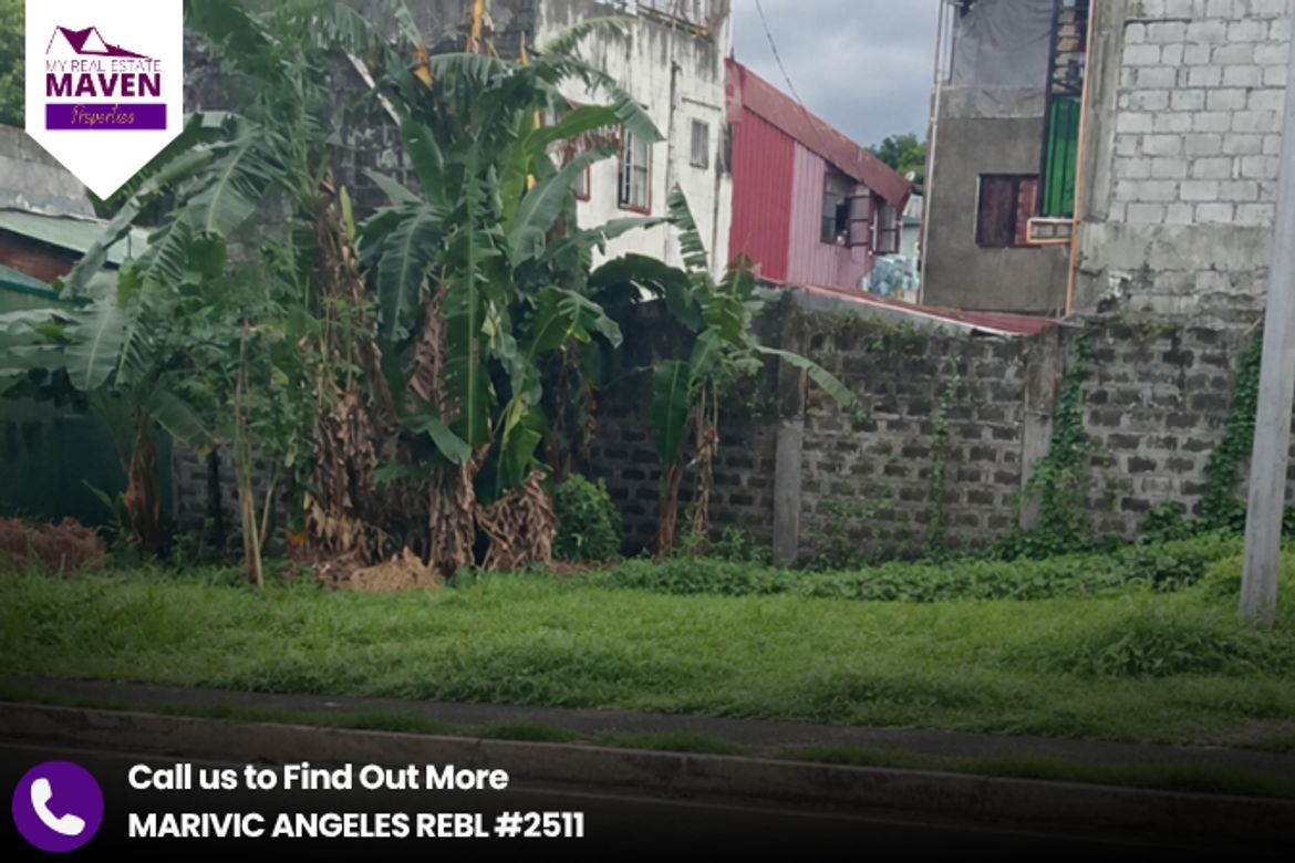 Land for Sale in Tandang Sora, Quezon City, Metro Manila – photo 4