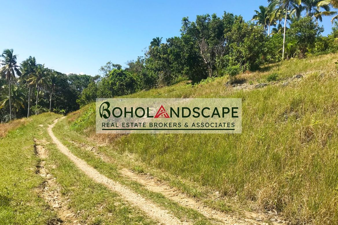 Land for Sale in Tangnan, Loon, Bohol – photo 4