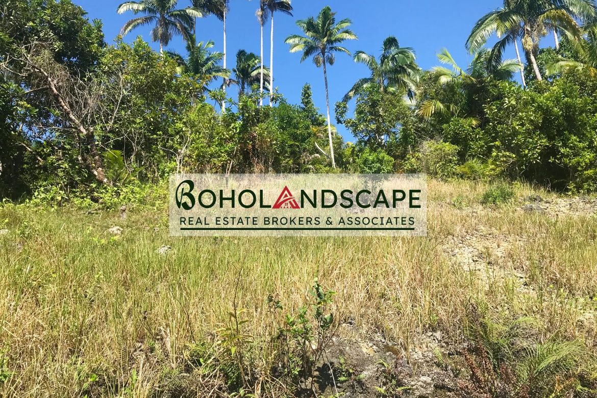 Land for Sale in Tangnan, Loon, Bohol – photo 7