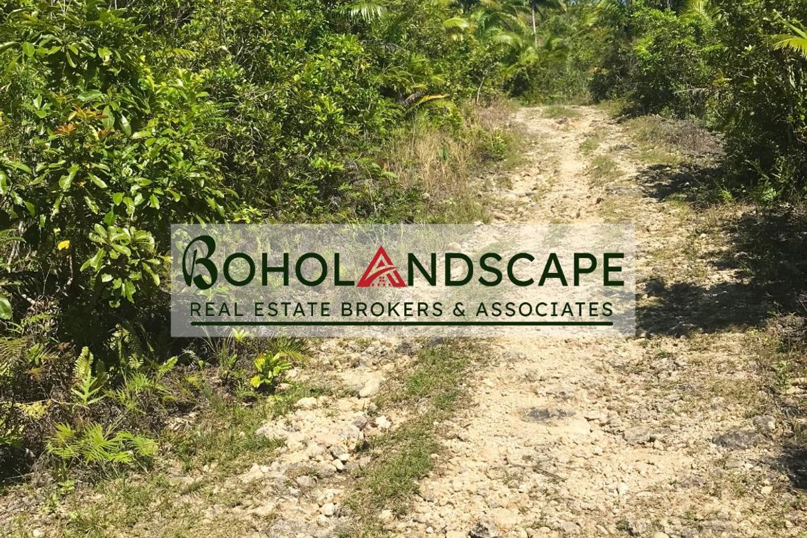 Land for Sale in Tangnan, Loon, Bohol – photo 8
