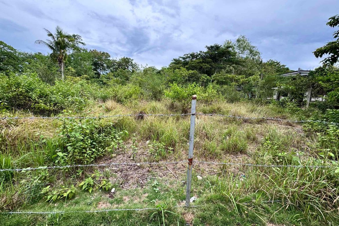 Land for Sale in Tangnan, Panglao, Bohol