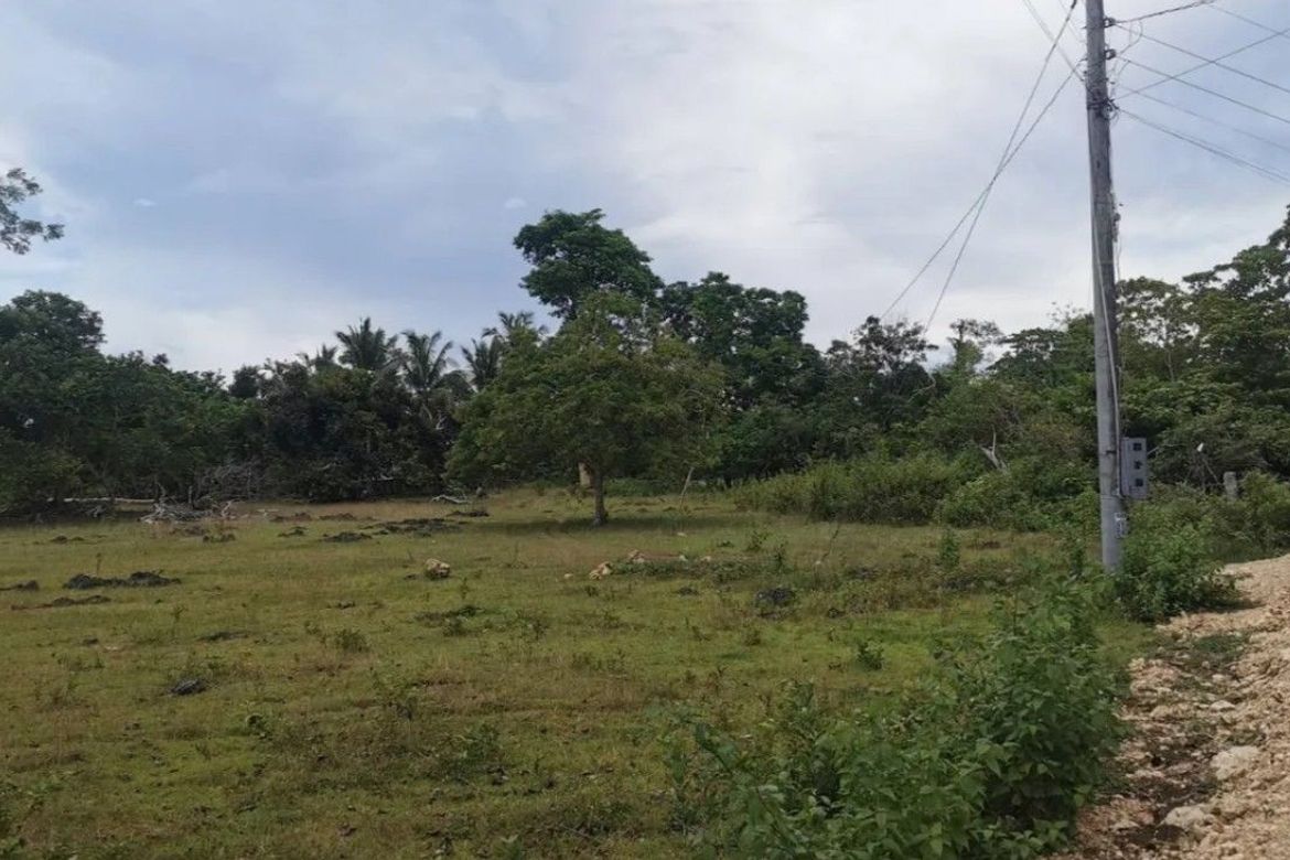 Land for Sale in Tangnan, Panglao, Bohol – photo 3