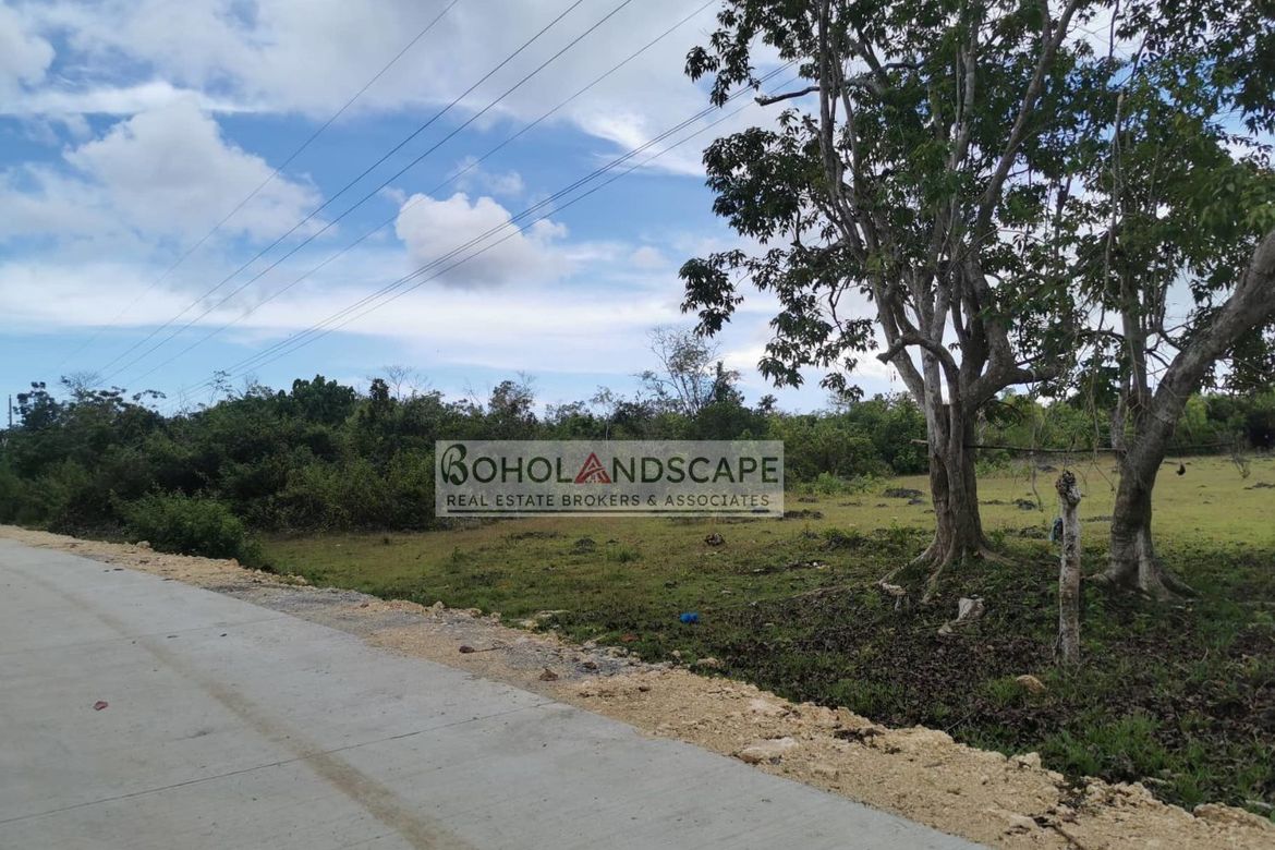 Land for Sale in Tangnan, Panglao, Bohol – photo 2