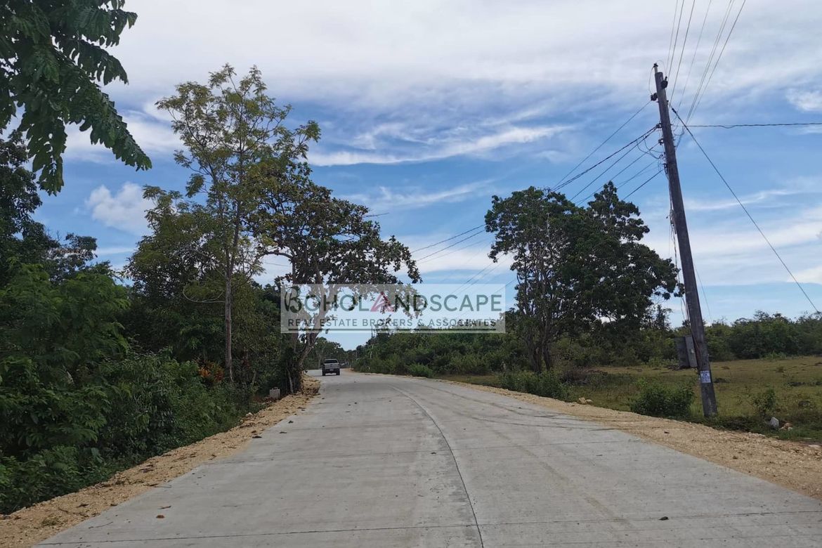 Land for Sale in Tangnan, Panglao, Bohol – photo 4