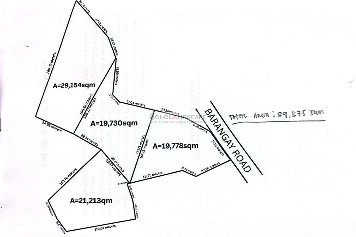 Land for Sale in Tangnan, Panglao, Bohol – photo 5