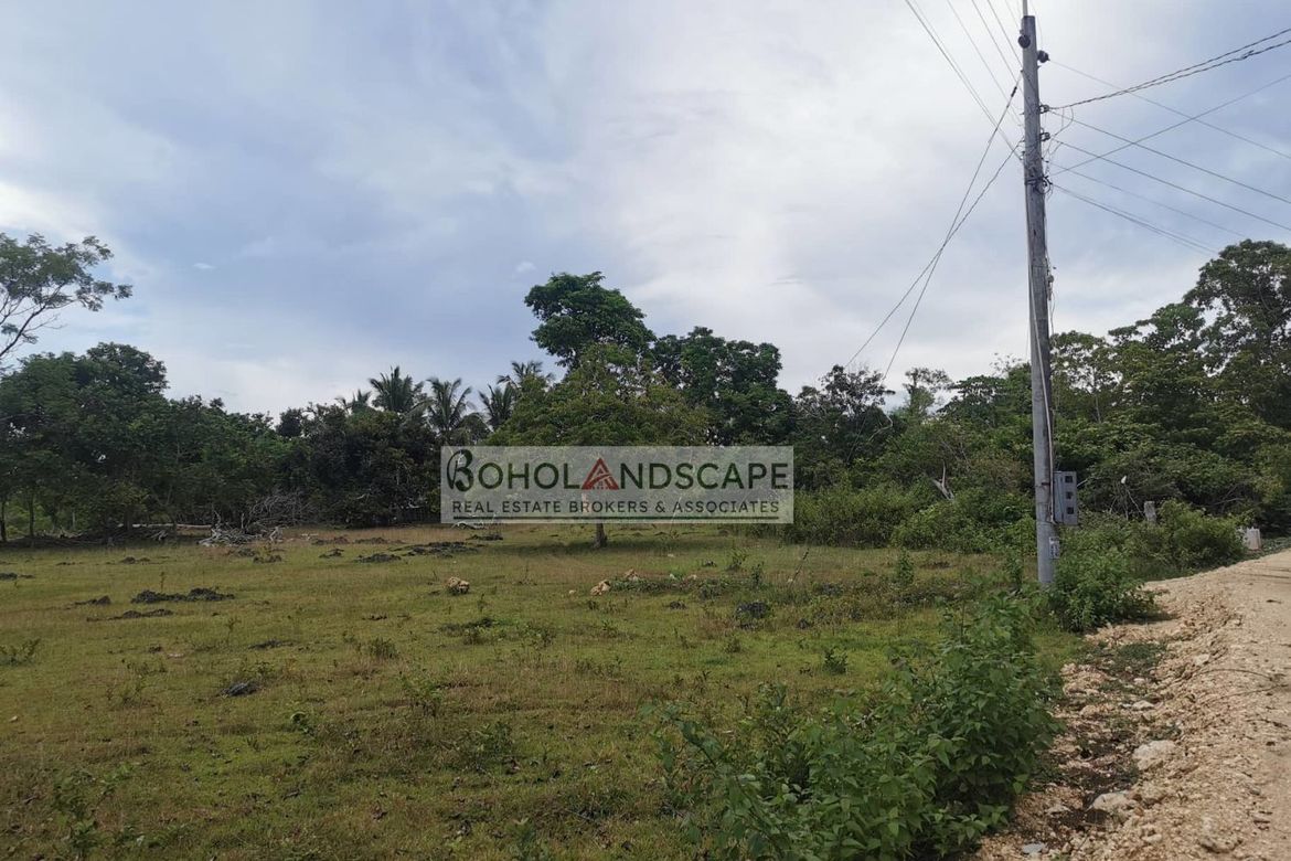 Land for Sale in Tangnan, Panglao, Bohol – photo 6
