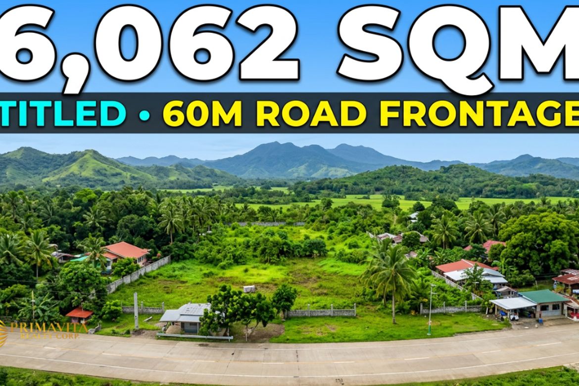 Land for Sale in Tangnan, Panglao, Bohol – photo 3