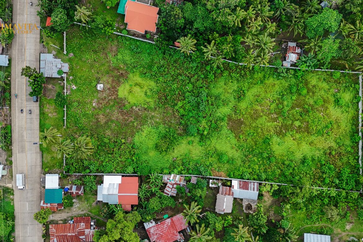 Land for Sale in Tangnan, Panglao, Bohol – photo 4