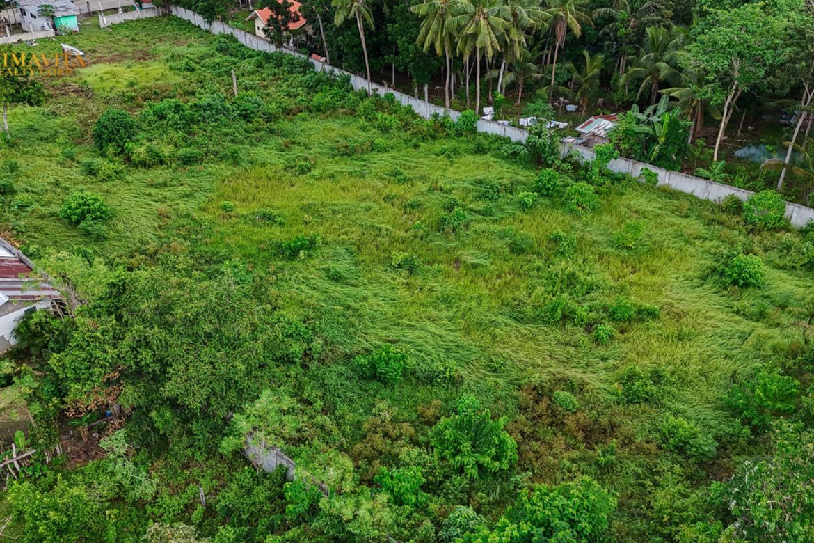 Land for Sale in Tangnan, Panglao, Bohol – photo 5