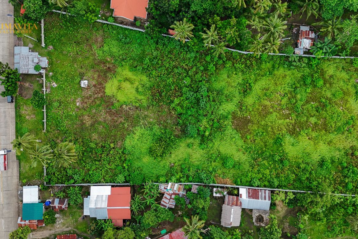 Land for Sale in Tangnan, Panglao, Bohol – photo 6