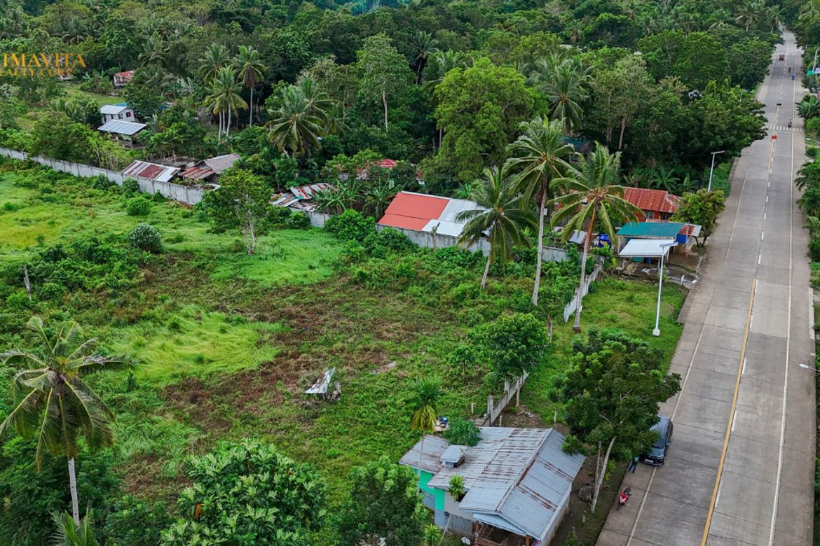 Land for Sale in Tangnan, Panglao, Bohol – photo 8