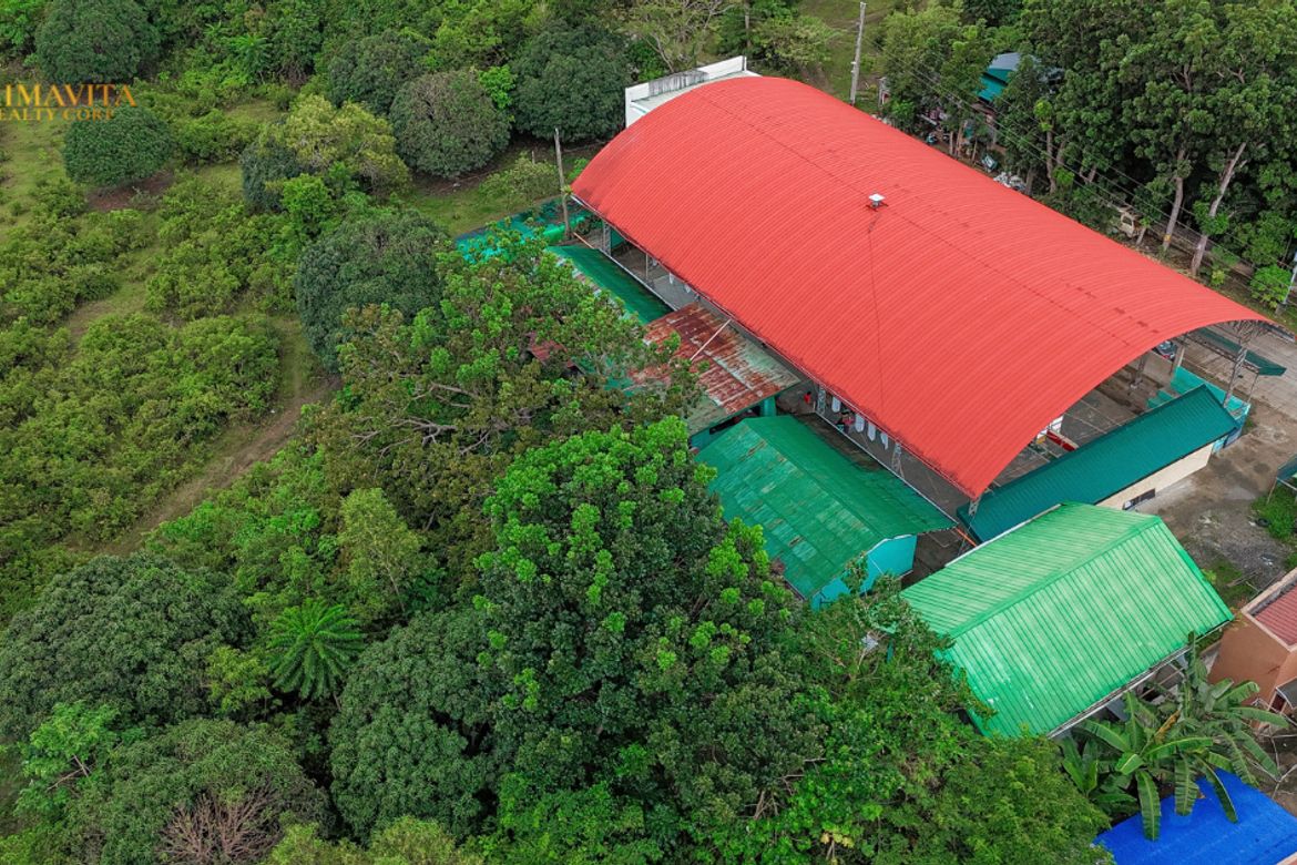 Land for Sale in Tangnan, Panglao, Bohol – photo 5