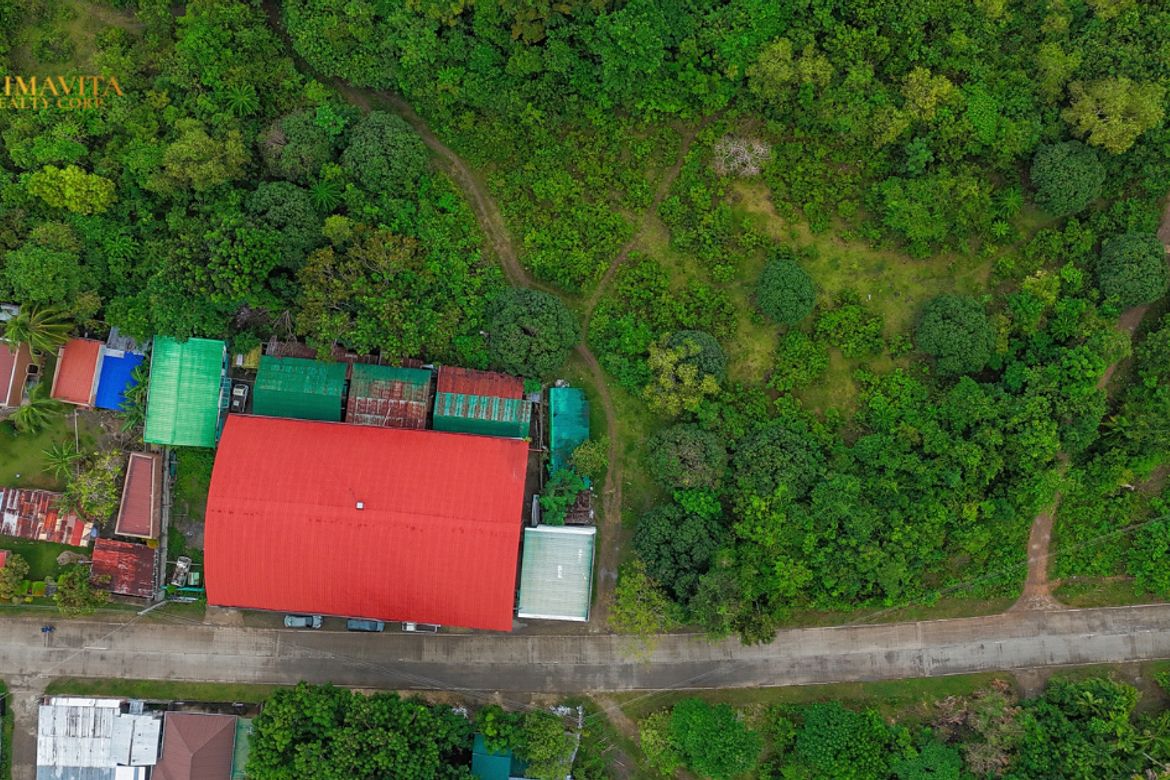 Land for Sale in Tangnan, Panglao, Bohol – photo 7
