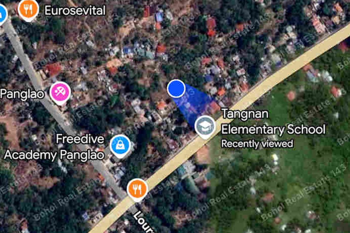 Land for Sale in Tangnan, Panglao, Bohol – photo 3