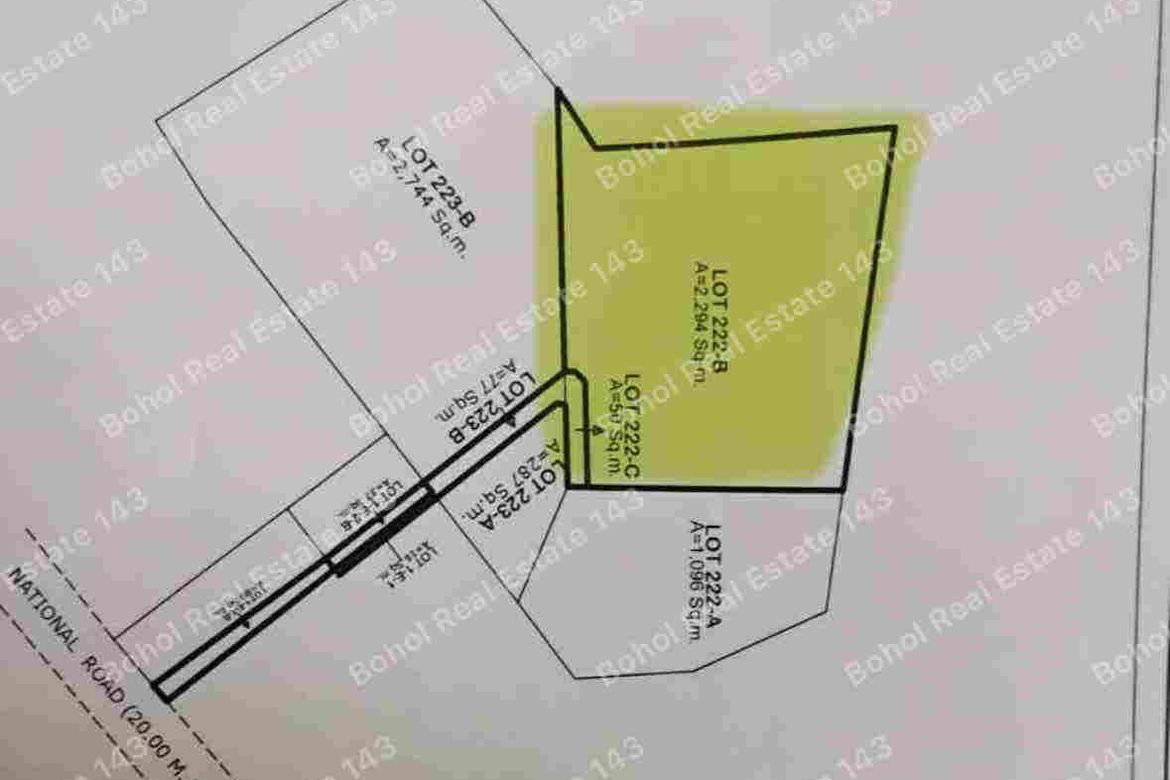 Land for Sale in Tangnan, Panglao, Bohol – photo 4