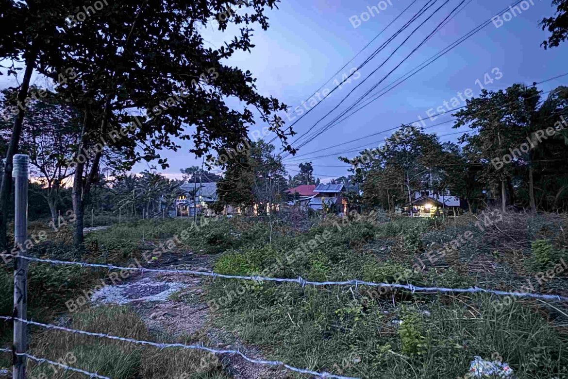 Land for Sale in Tangnan, Panglao, Bohol – photo 5