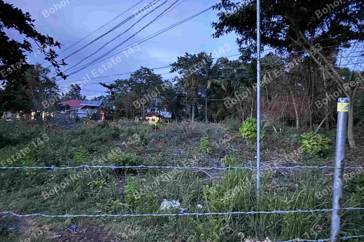 Land for Sale in Tangnan, Panglao, Bohol – photo 7
