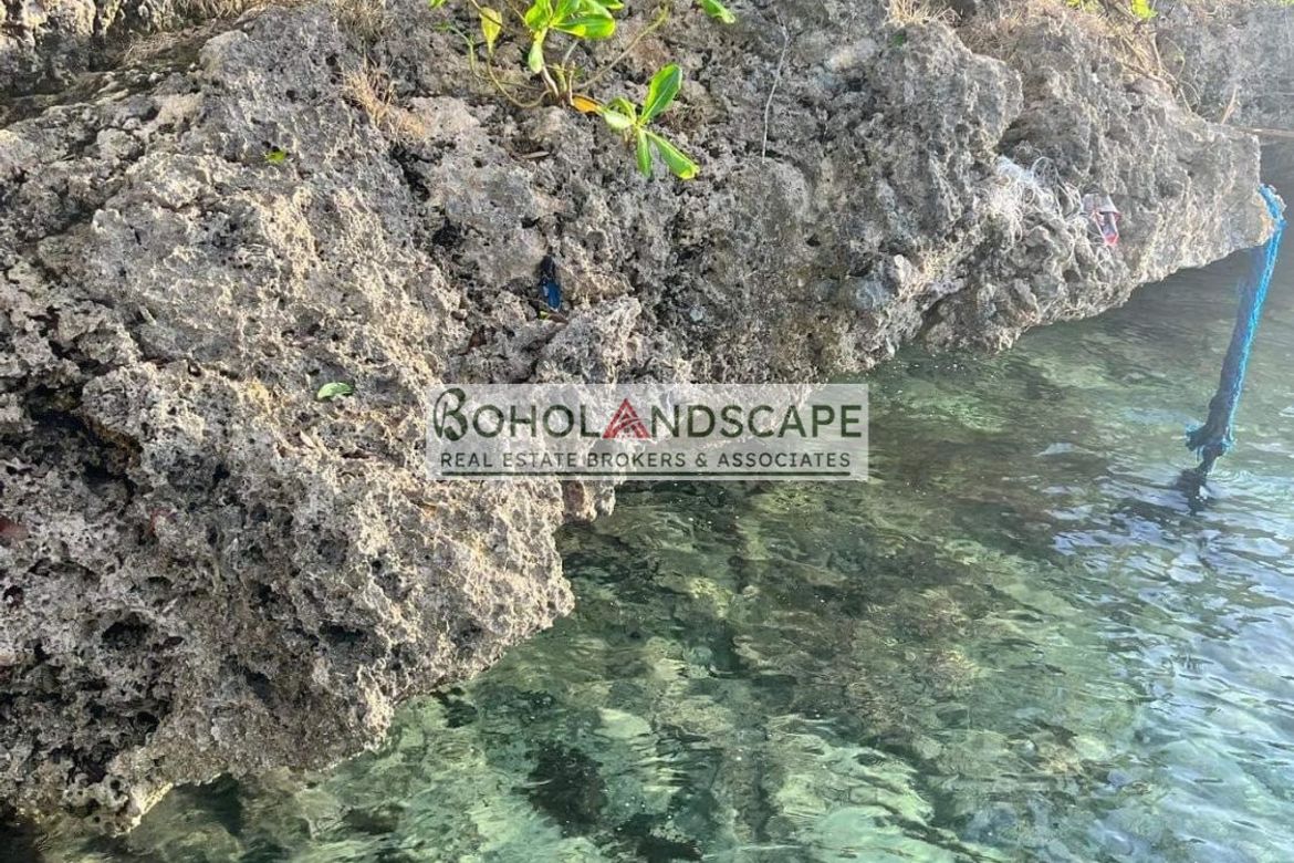 Land for Sale in Tangnan, Panglao, Bohol – photo 3