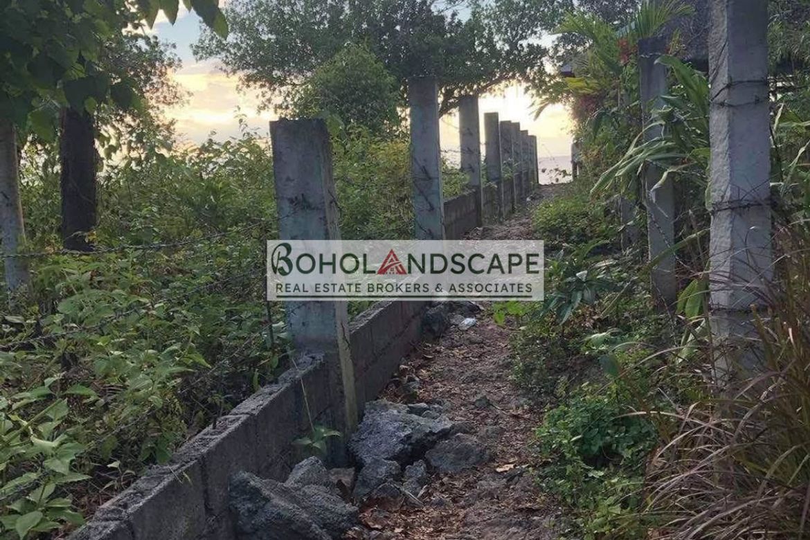 Land for Sale in Tangnan, Panglao, Bohol – photo 7