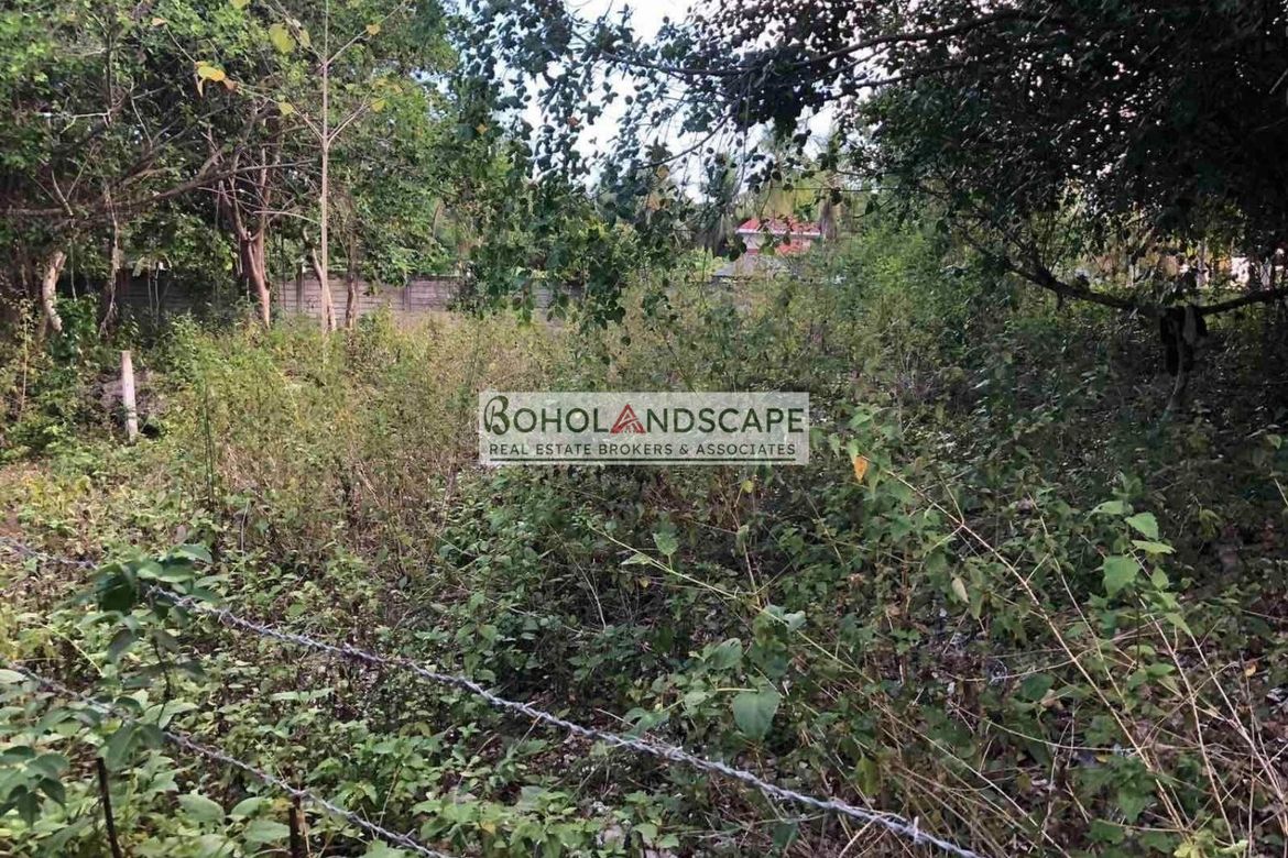 Land for Sale in Tangnan, Panglao, Bohol – photo 8