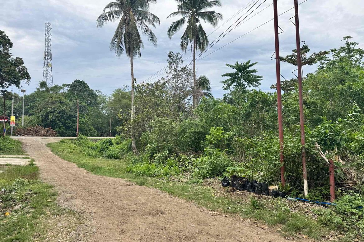 Land for Sale in Tangnan, Panglao, Bohol